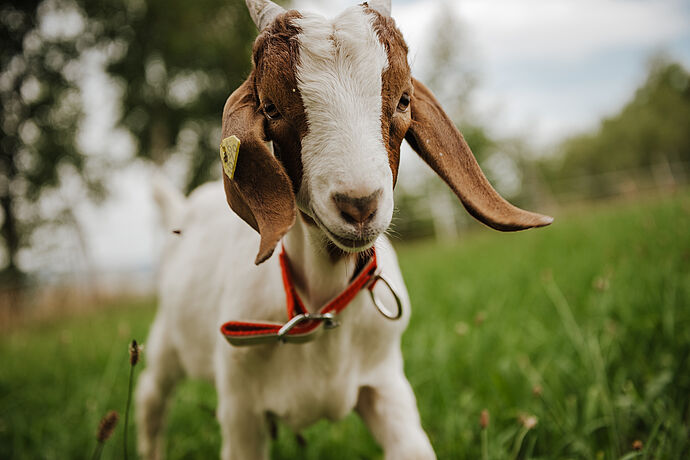 Weil jedes Leben zählt: Drei Geschichten voller Mut Weil jedes Leben zählt: Drei Geschichten voller Mut