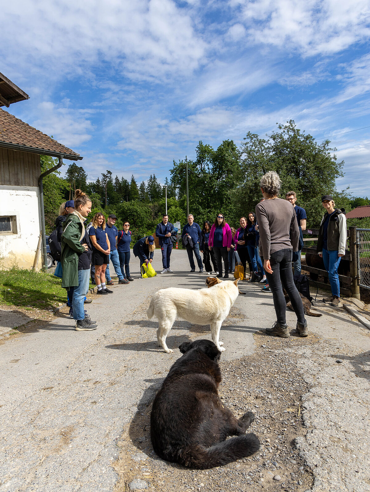 Corporate Volunteering: Siemens auf Lebenshof Wendy Welt