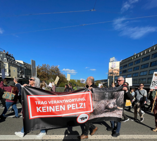 Demo für eine pelzfreie Schweiz