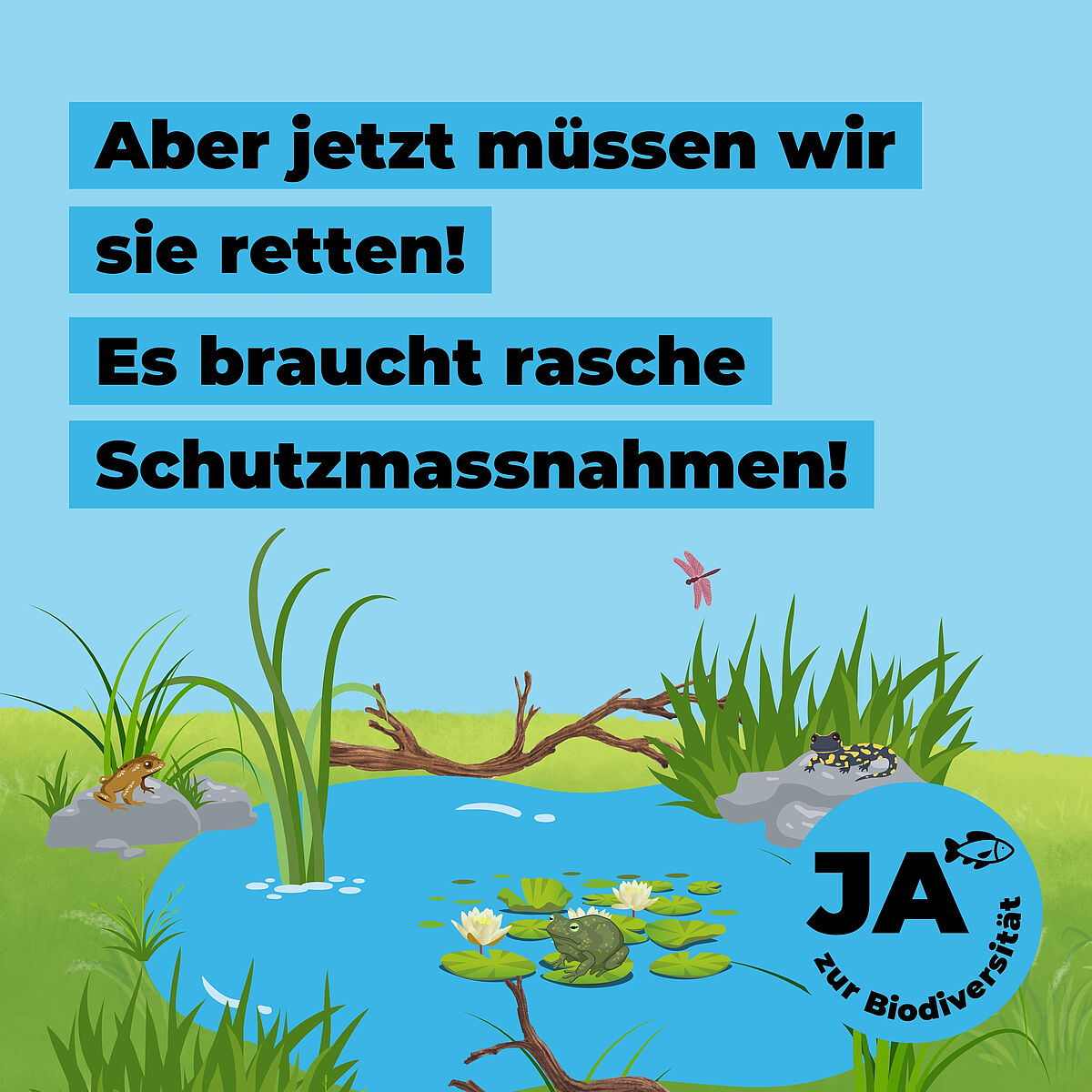 Biodiversitätsinitiative