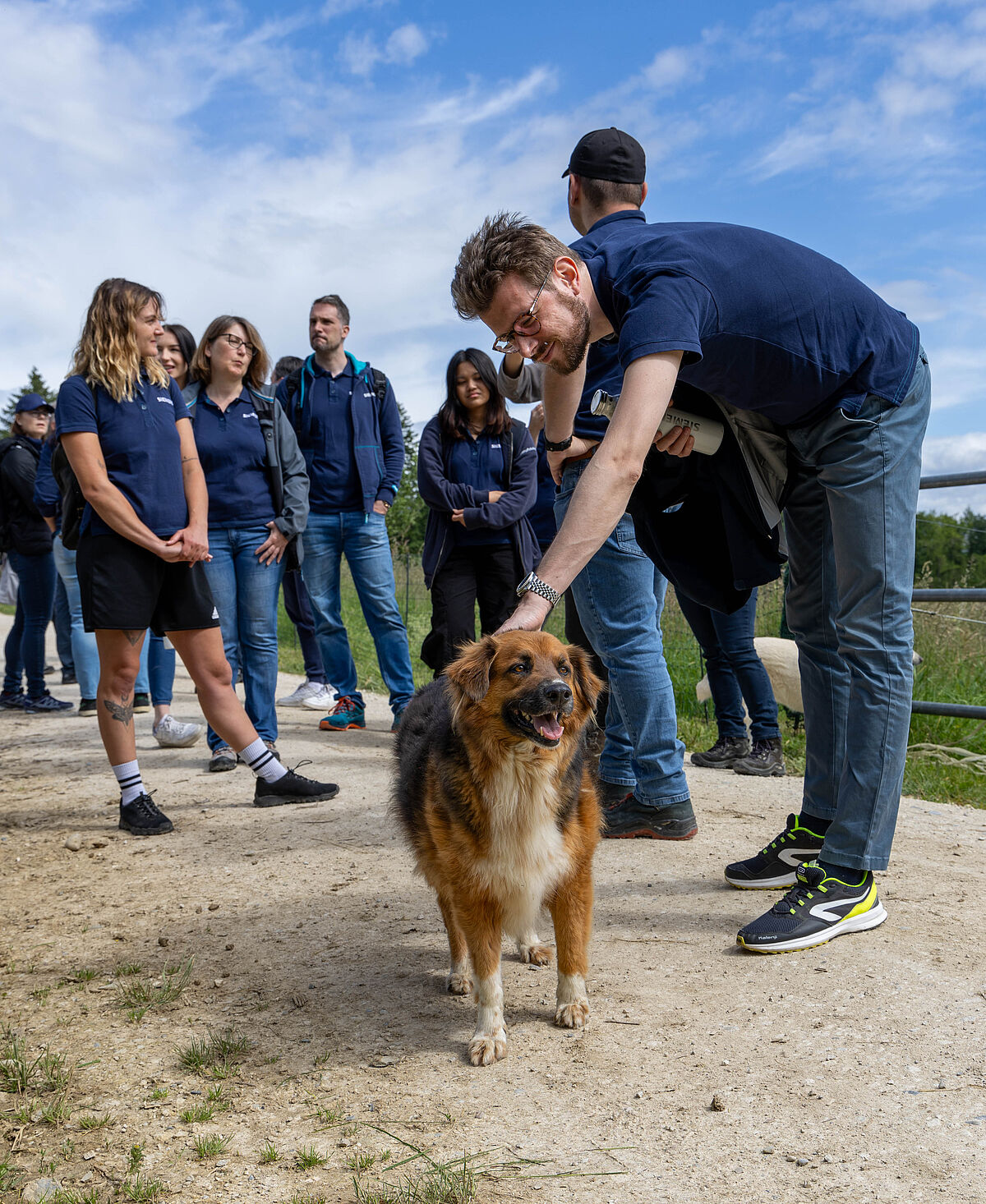 Corporate Volunteering: Siemens auf Lebenshof Wendy Welt