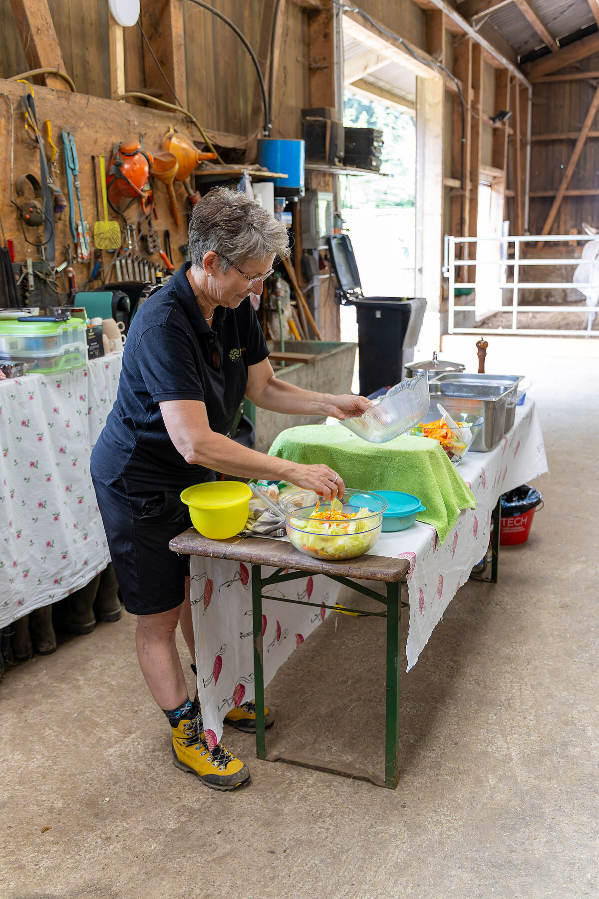 ProTier Corporate Volunteering / Julius Bär auf Lebenshof Frei sein