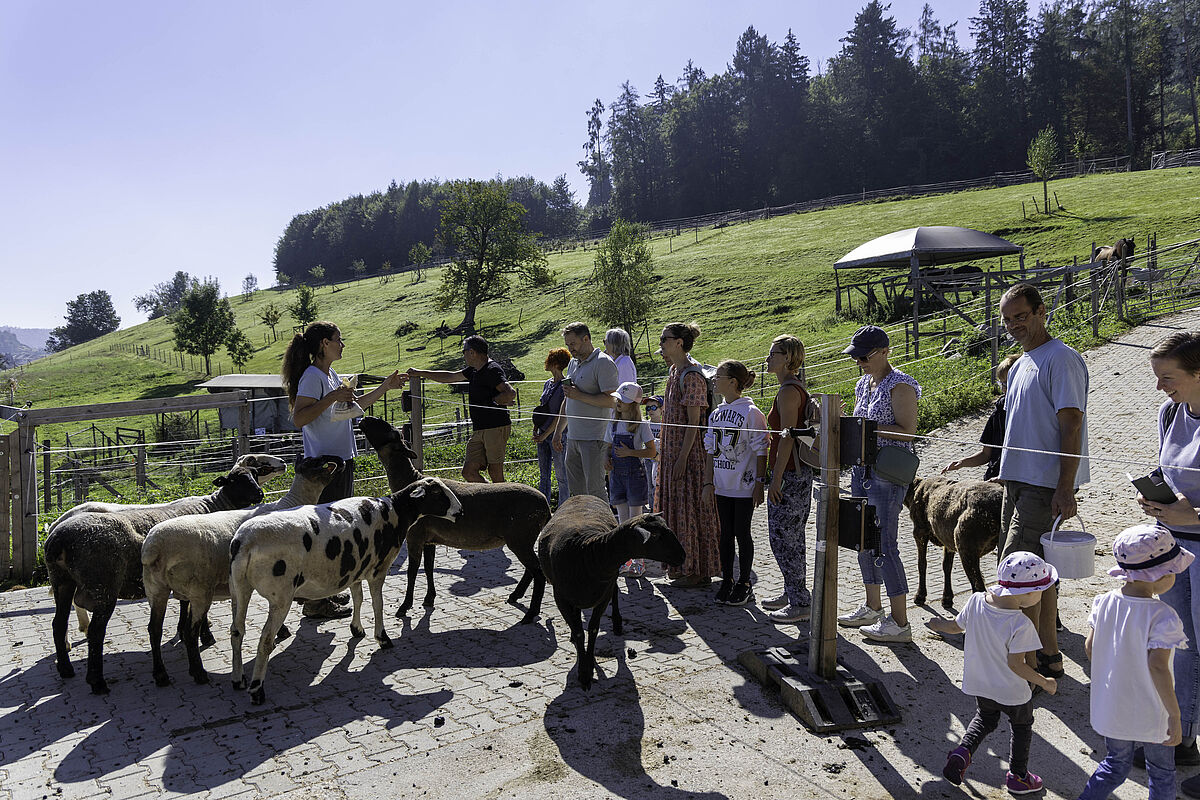 ProTier Hoftage 2024: Lebenshof Vaikuntha