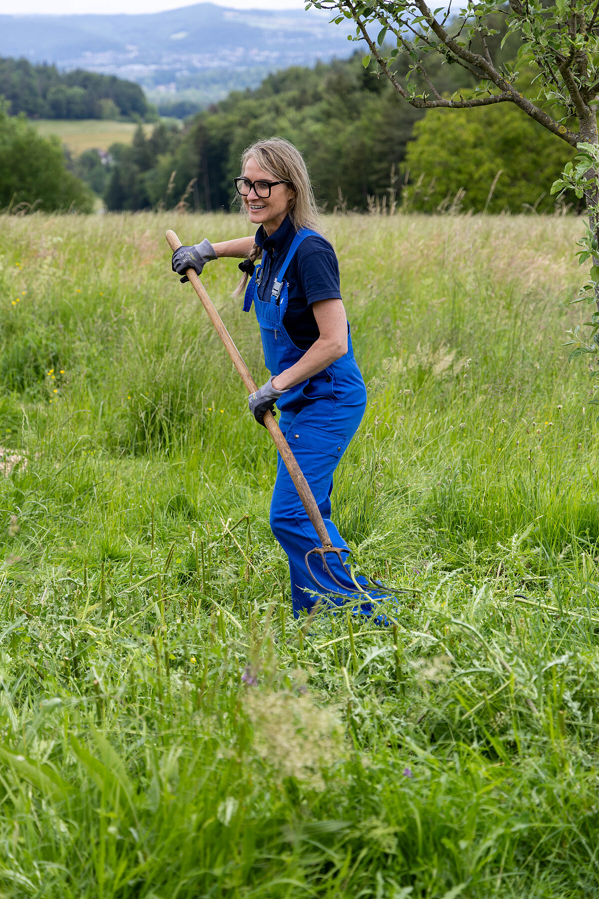 Corporate Volunteering: Siemens auf Lebenshof Wendy Welt