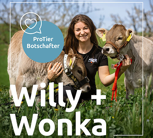 Rindfleisch & Klima – Lebenshöfe als Teil der Lösung