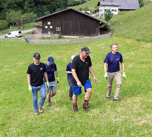 Abenteuerliche Heckenpflege im Steilhang