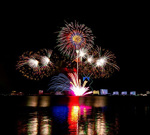 Feuerwerk und Tiere: Fakten und Mythen