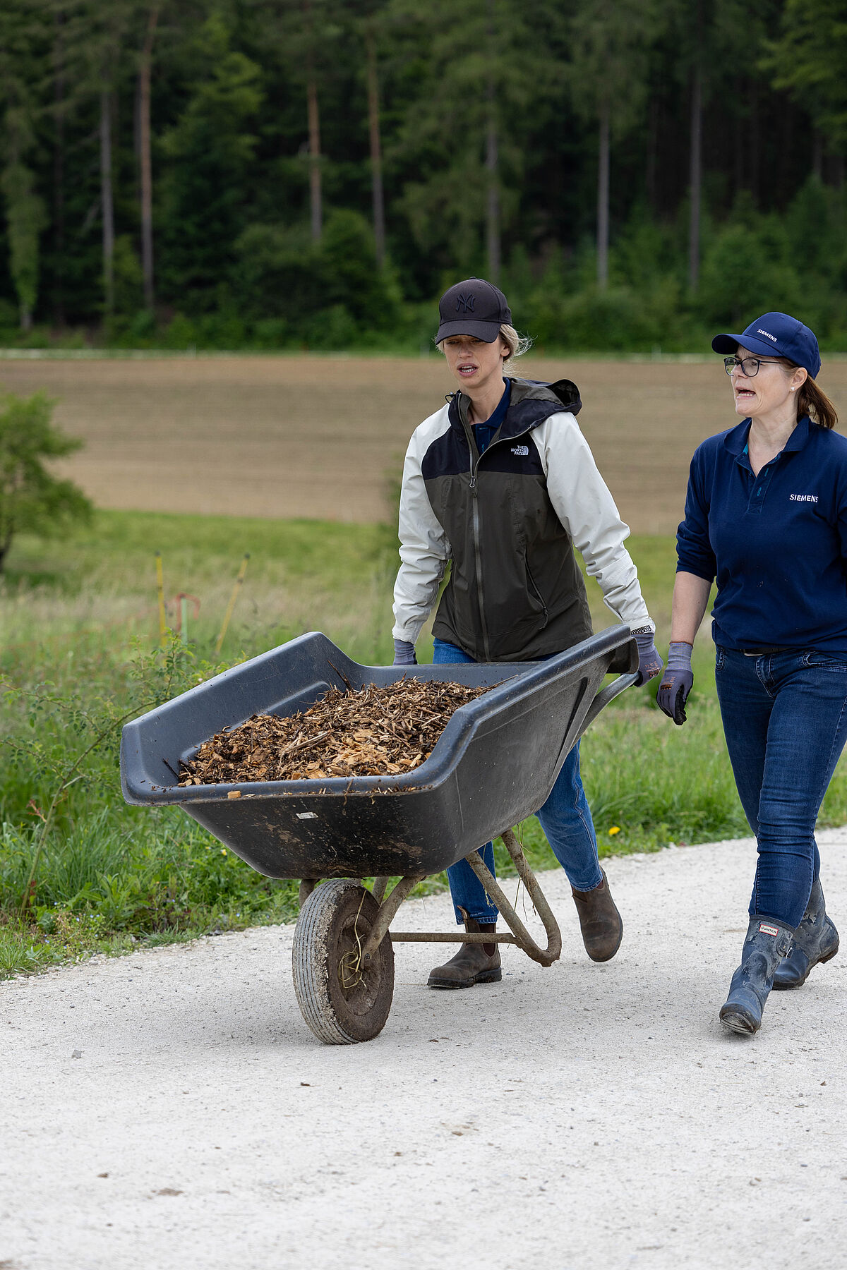 Corporate Volunteering: Siemens auf Lebenshof Wendy Welt