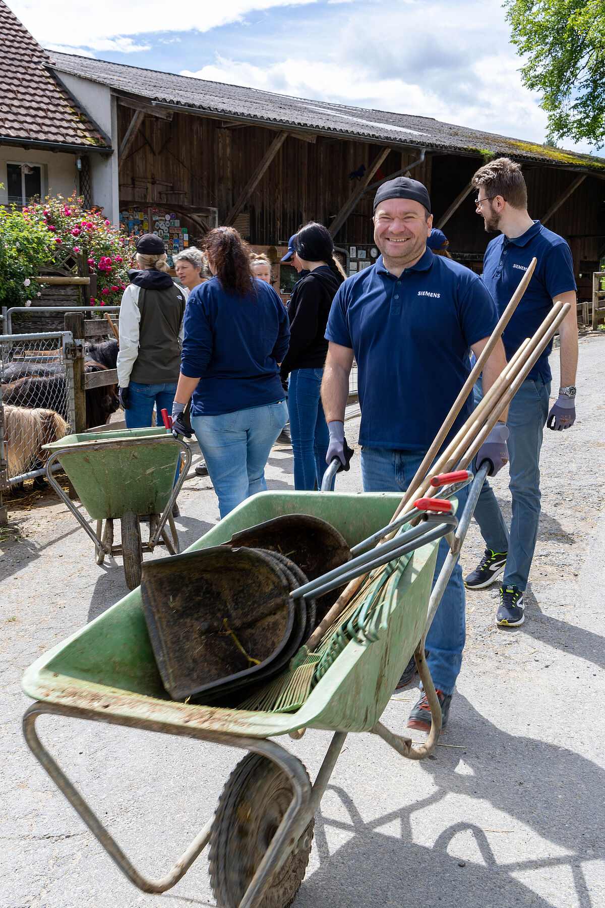 Corporate Volunteering: Siemens auf Lebenshof Wendy Welt