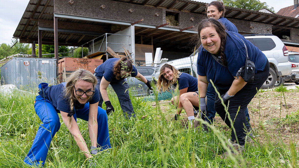 Corporate Volunteering: Siemens auf Lebenshof Wendy Welt