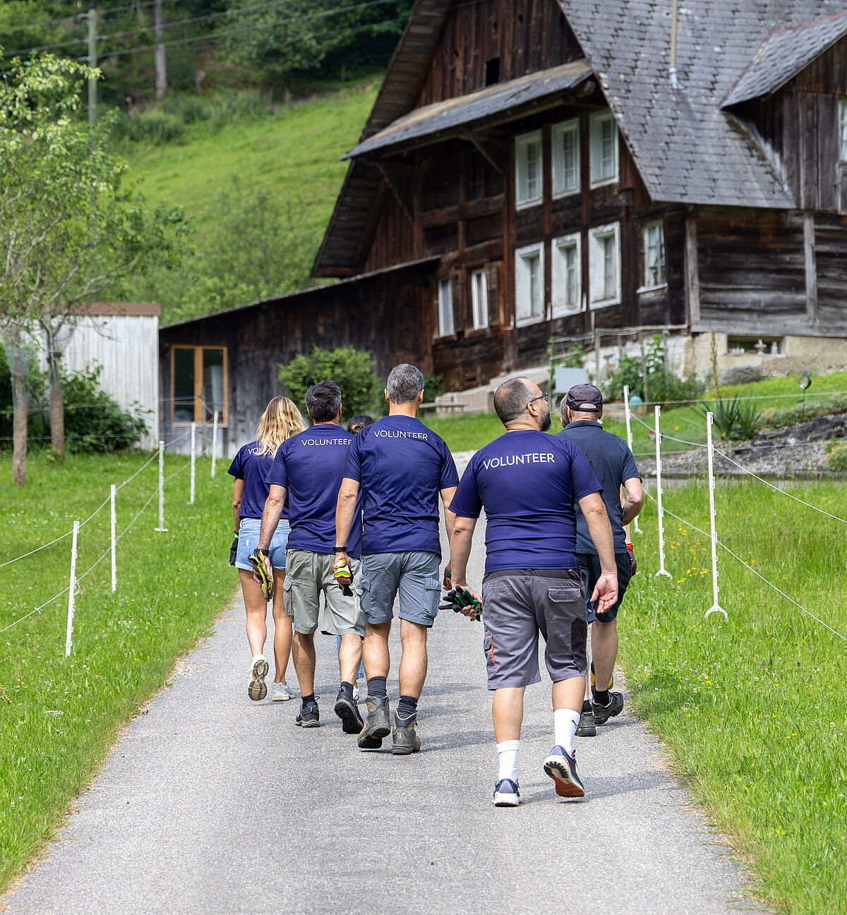 ProTier Corporate Volunteering / Julius Bär auf Lebenshof Frei sein