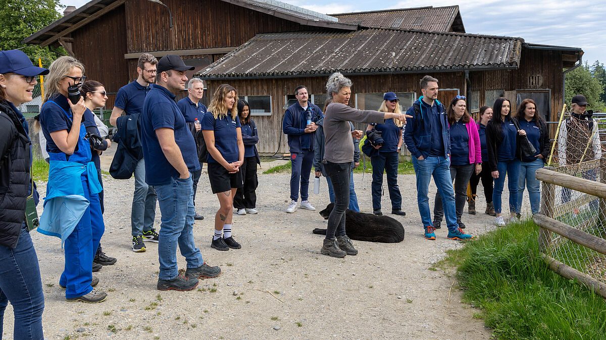 Corporate Volunteering: Siemens auf Lebenshof Wendy Welt