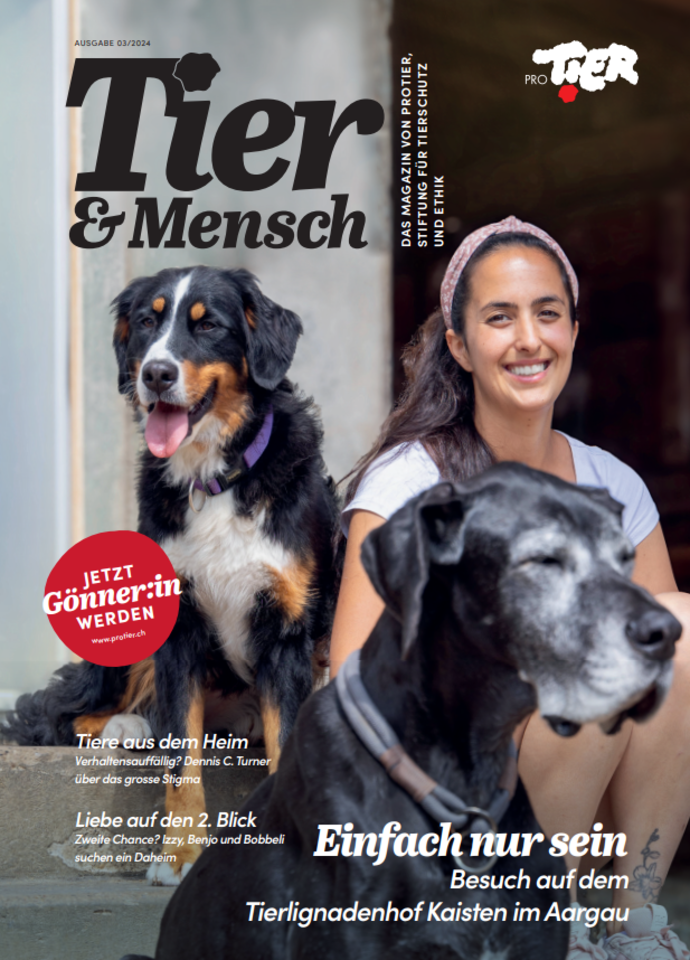 ProTier Magazin «Tier & Mensch»