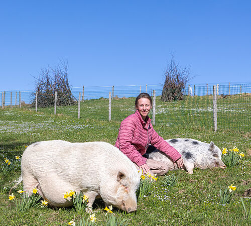 Schwein gehabt