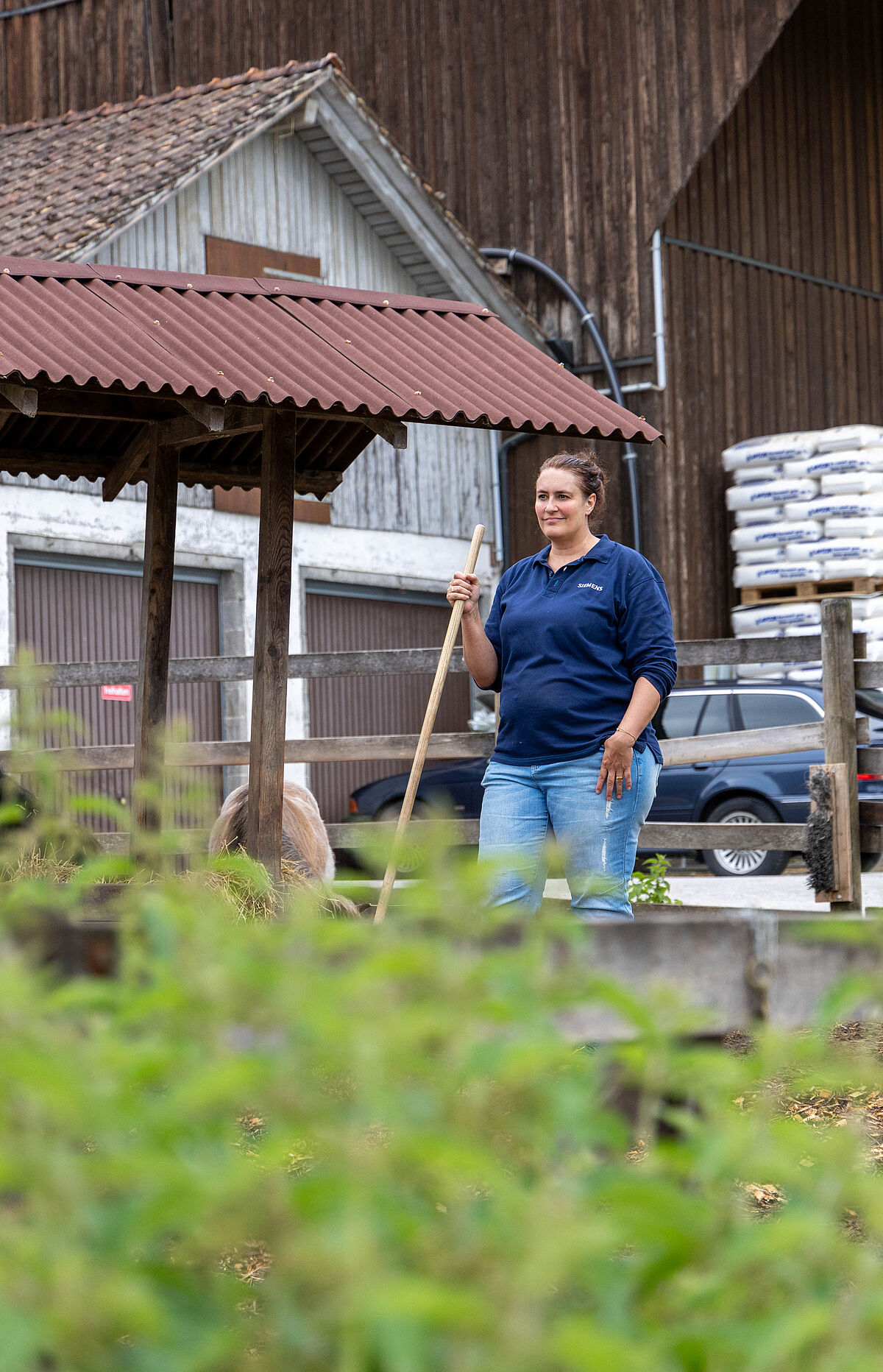 Corporate Volunteering: Siemens auf Lebenshof Wendy Welt