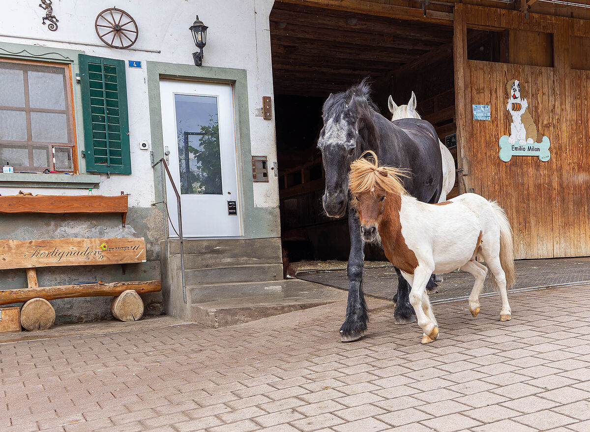 ProTier Magazin: Tierlignadenhof Kaisten