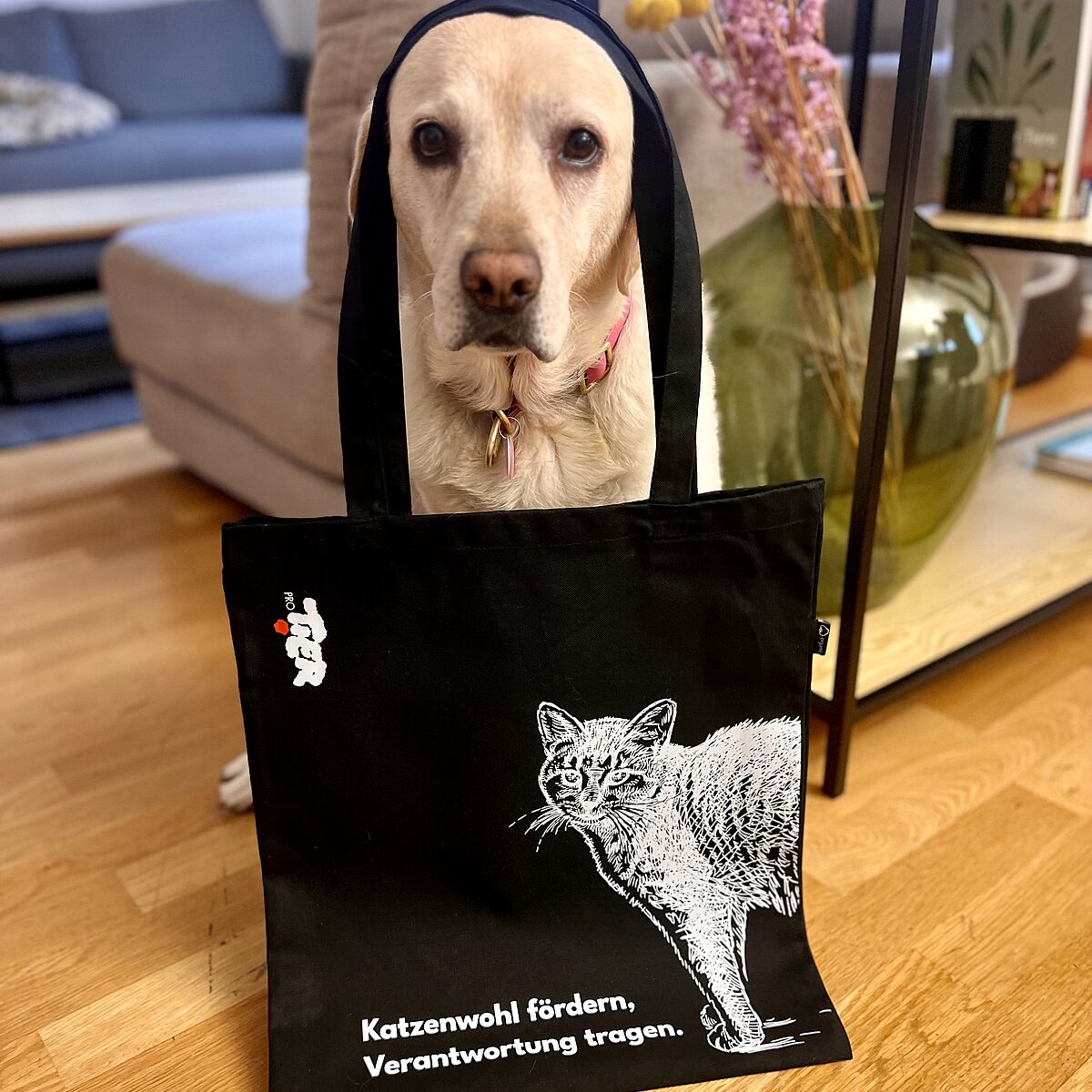 Tragtasche mit Herz / Spendenaktion Katzenkastration