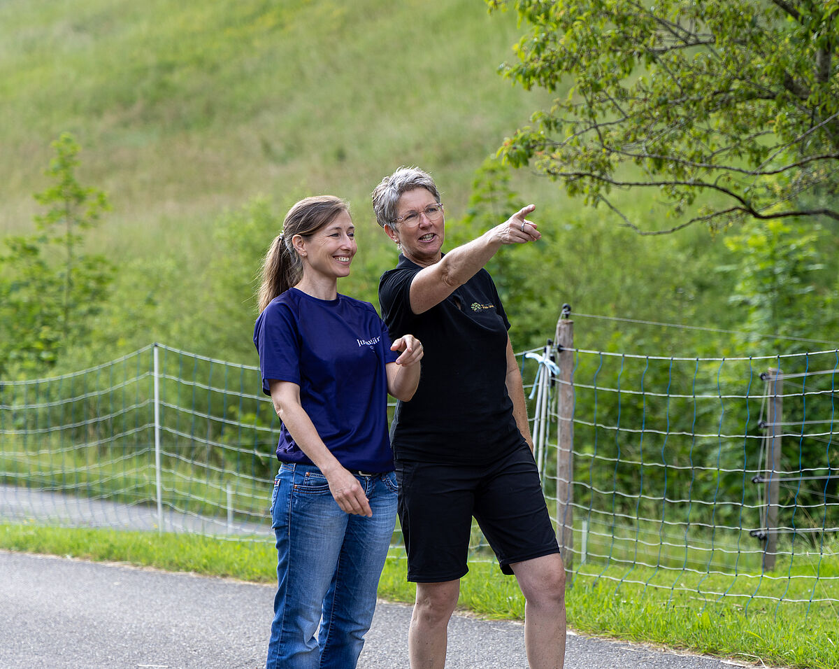 ProTier Corporate Volunteering / Julius Bär auf Lebenshof Frei sein