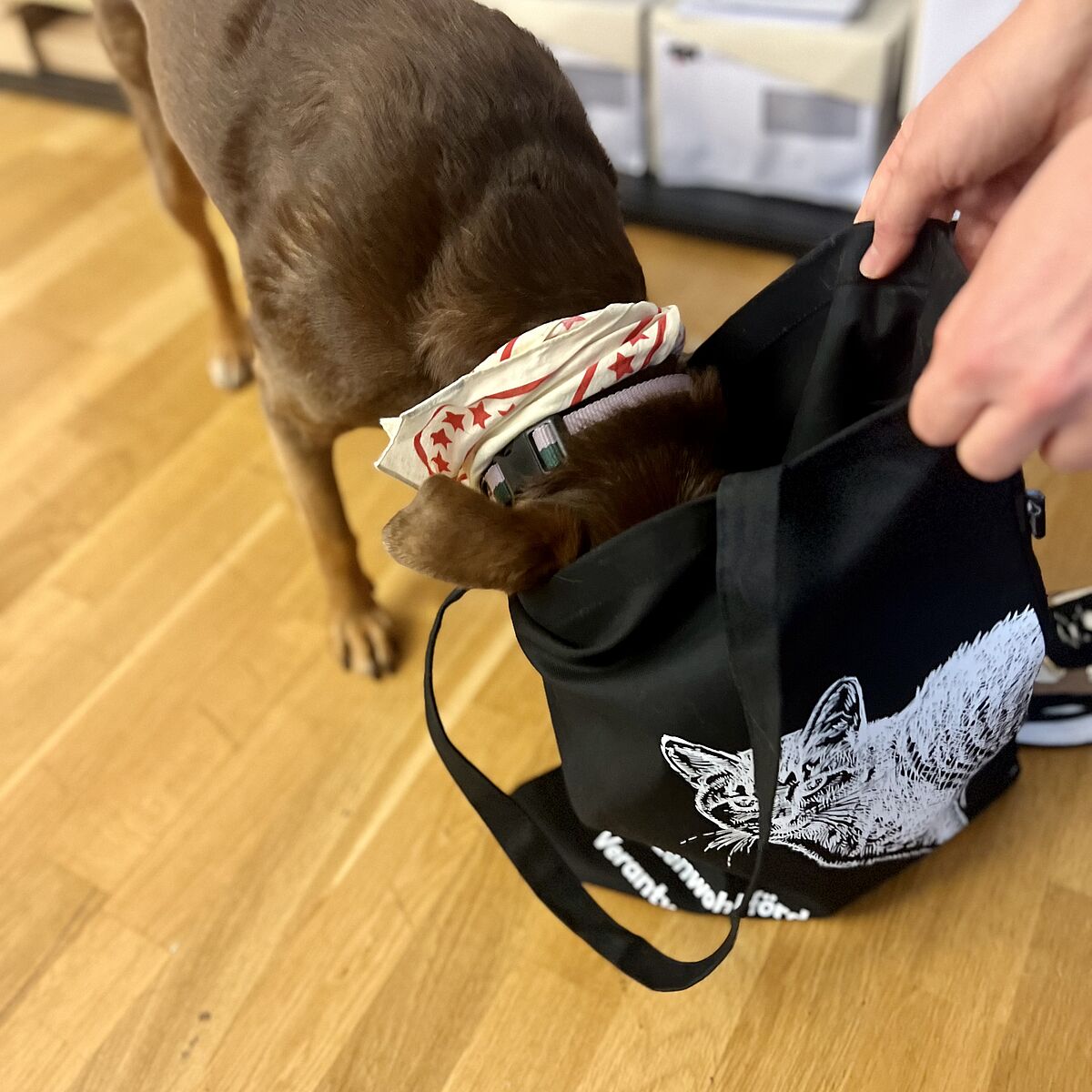 Tragtasche mit Herz / Spendenaktion Katzenkastration