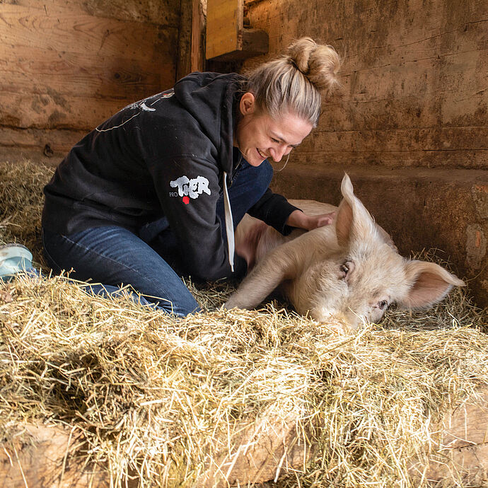 Schweinerettung mit Herz Schweinerettung mit Herz