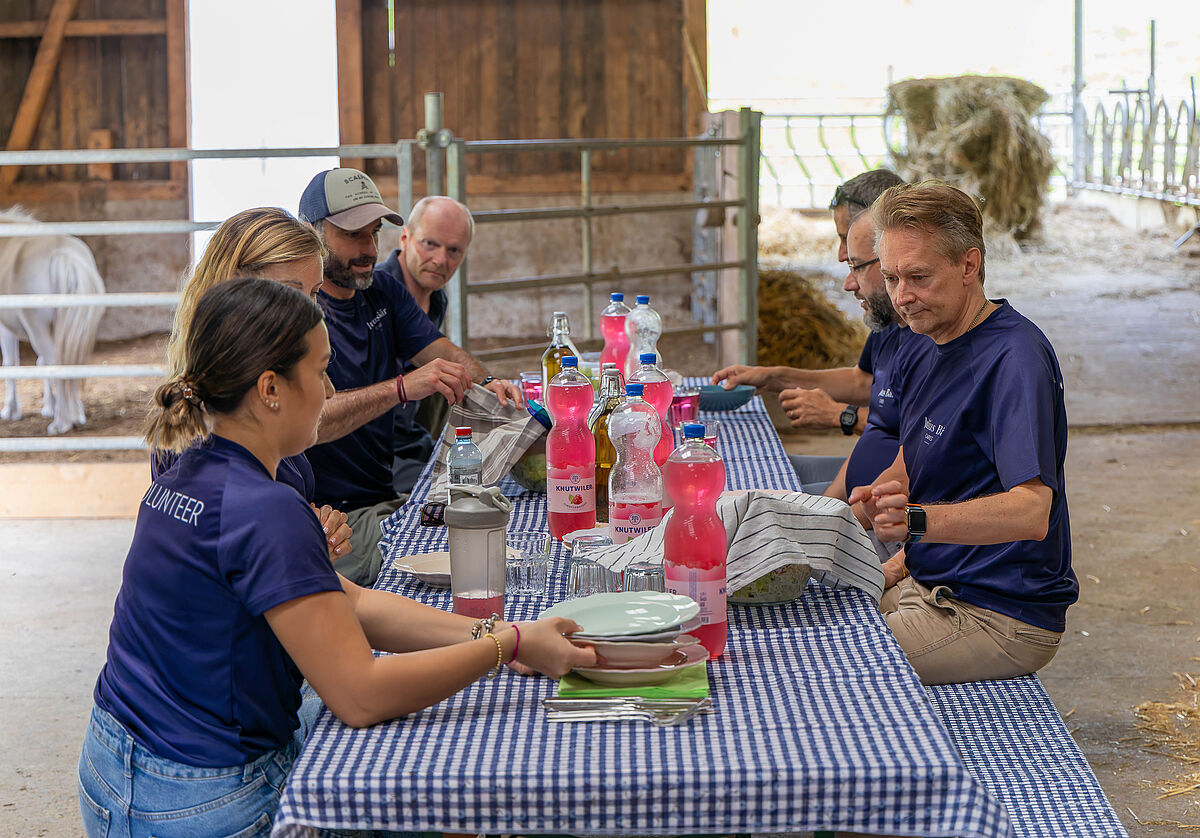 ProTier Corporate Volunteering / Julius Bär auf Lebenshof Frei sein