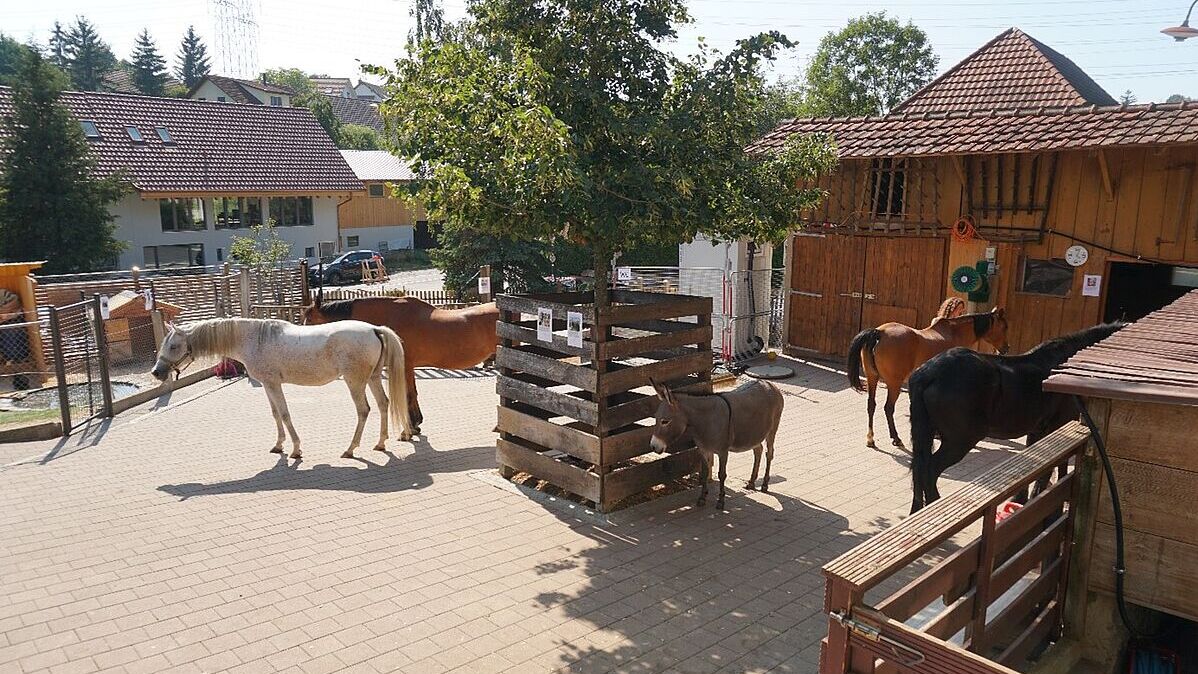 Events auf Tierlignadenhof Kaisten