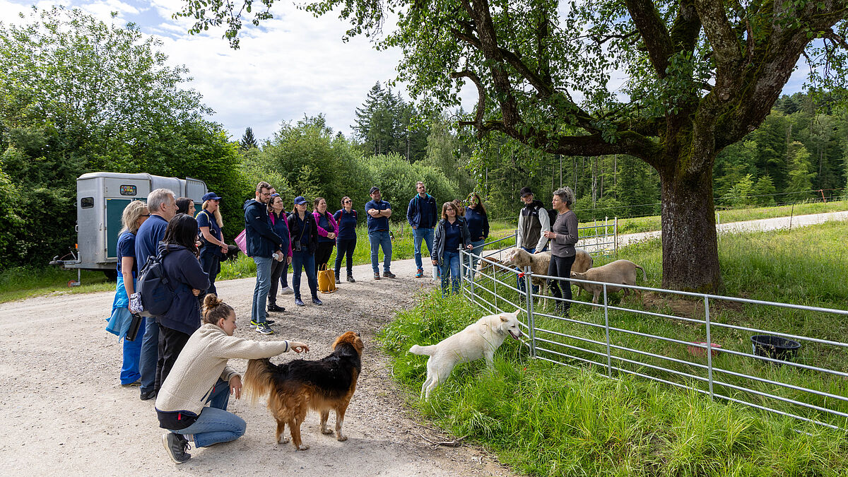 Corporate Volunteering: Siemens auf Lebenshof Wendy Welt