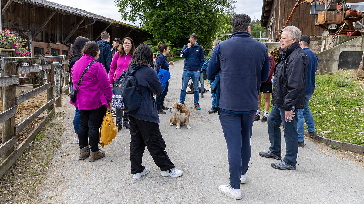 Corporate Volunteering: Siemens auf Lebenshof Wendy Welt